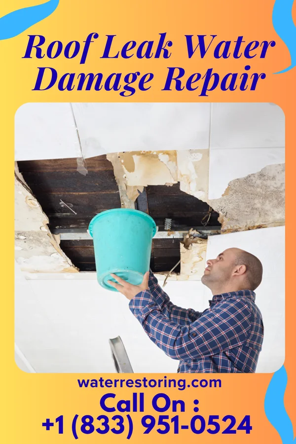Roof Leak Water Damage Repair in Flovilla, GA